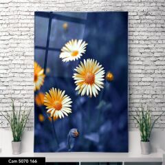 Mavinin İçinde Papatya Cam Tablo