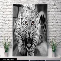 Leopar Cam Tablo